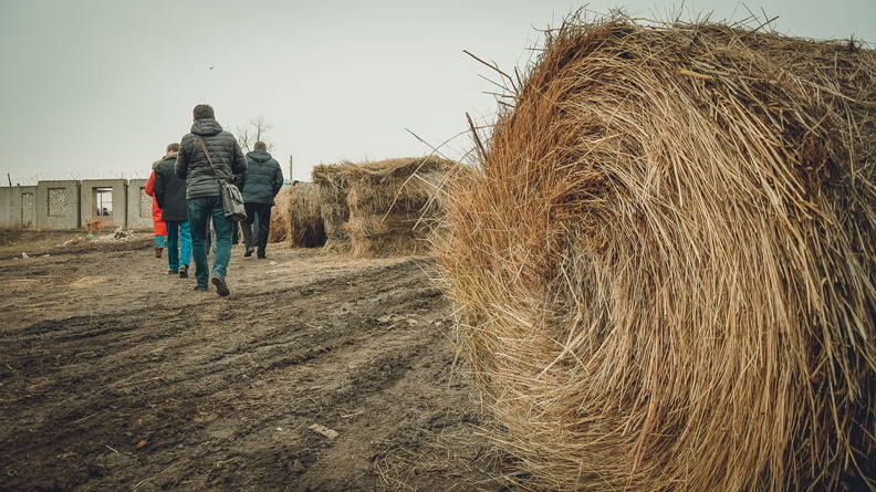 Уральские фермеры столкнулись с дефицитом кормов и лекарств из Тюмени