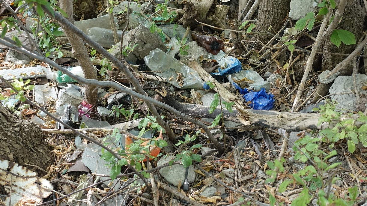 В Тюмени обнаружили новые скопления мусора на озере Алебашево